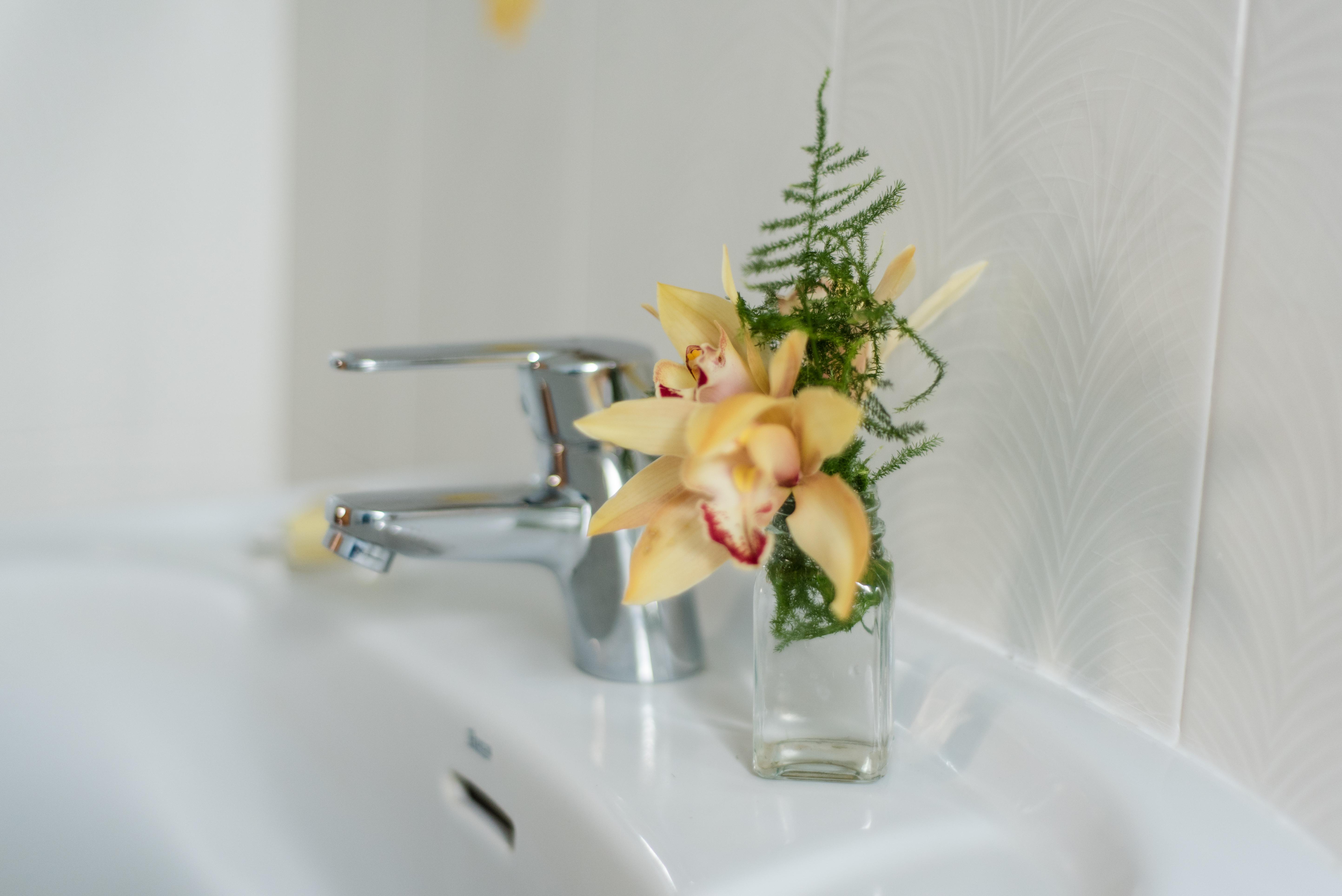 Apartamentos Mayoysa Breña Baja Εξωτερικό φωτογραφία